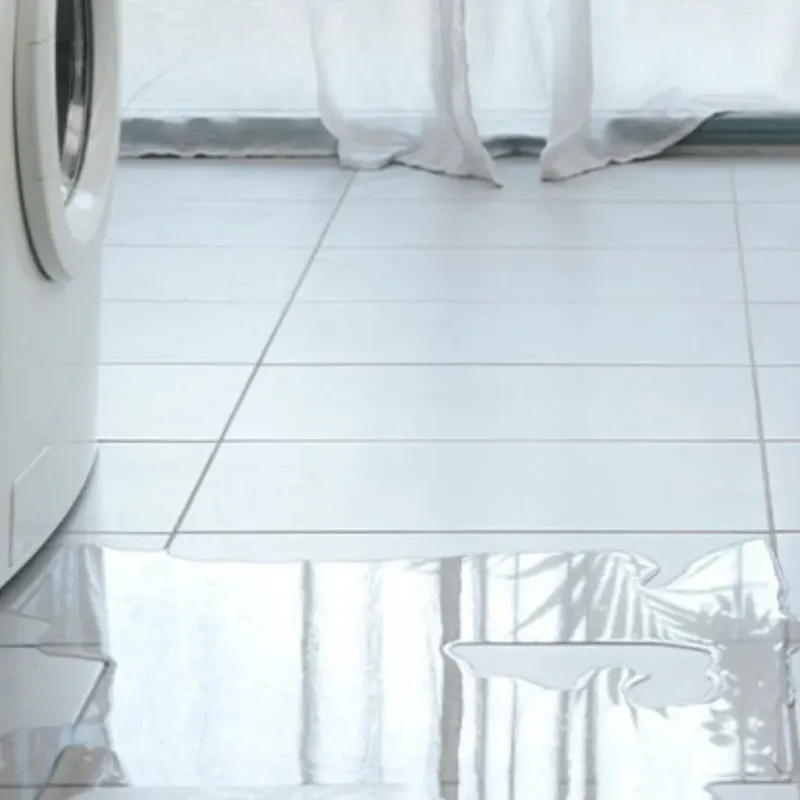 Appliance Leak Cleanup in Brush Fork, WV