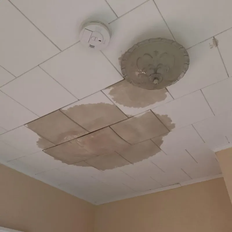 Ceiling Water Damage Repair in Brush Fork, WV