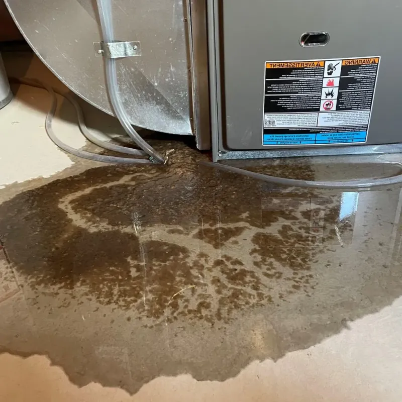 Pipe Burst and Leak Restoration in Brush Fork, WV