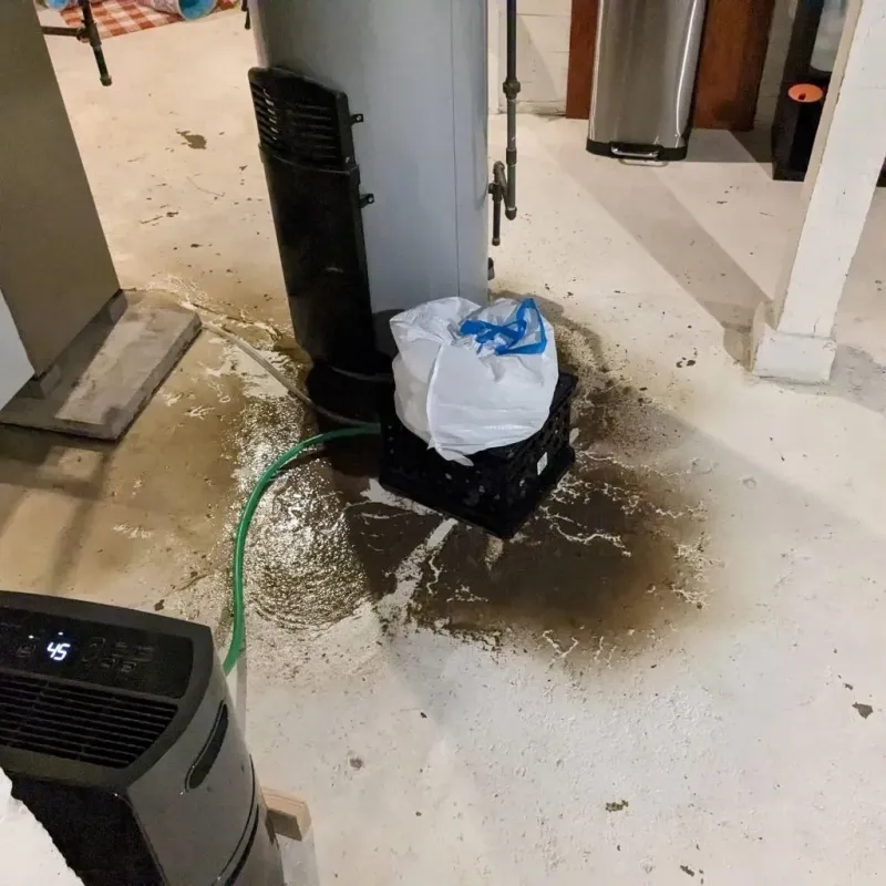 Sewage Backup Cleanup Service in Brush Fork, WV